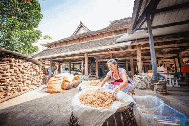 向往的生活第四季西双版纳第一集,向往的生活第四季西双版纳拍摄地