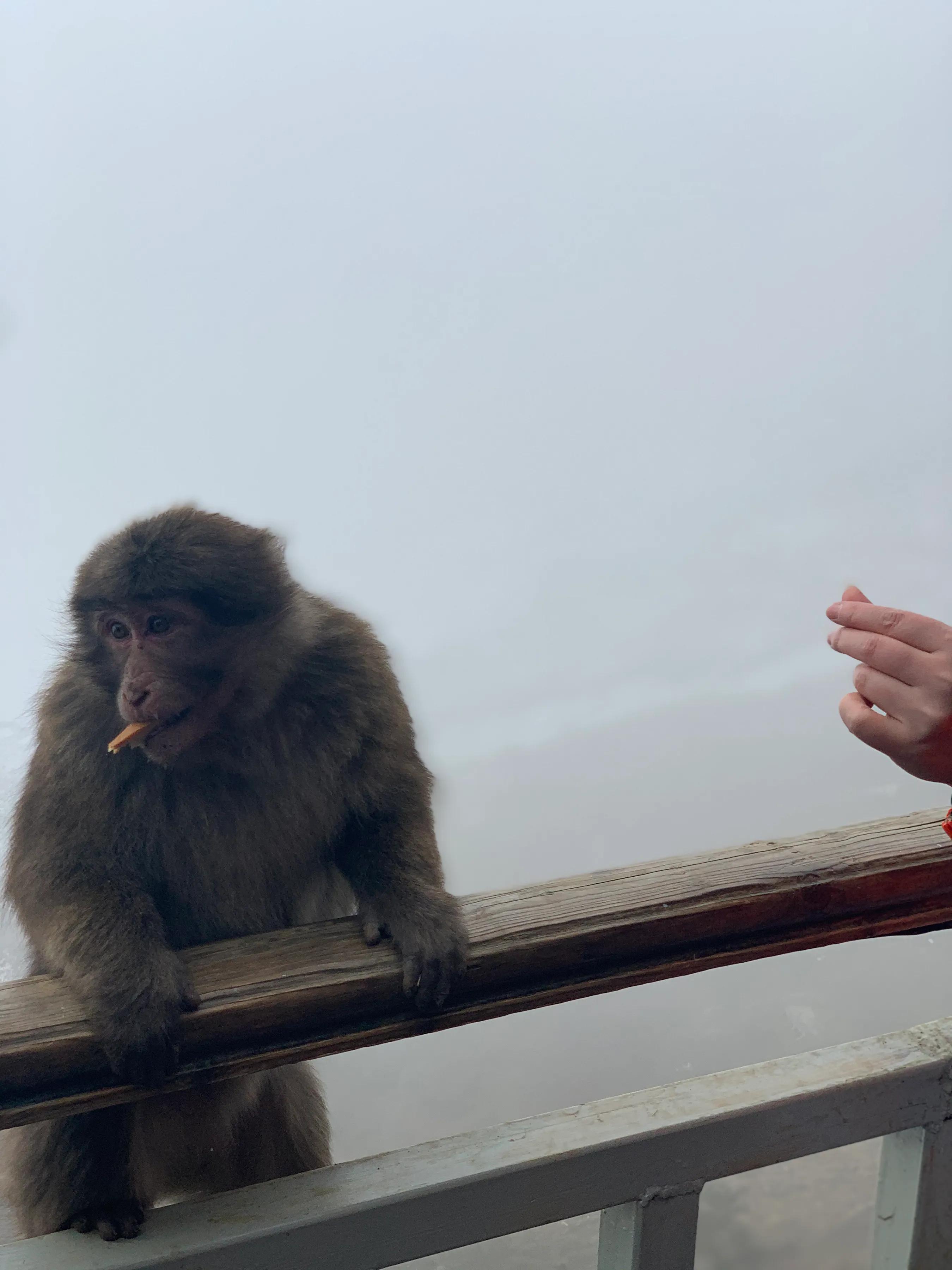 海螺沟燕子沟旅游攻略,海螺沟和燕子沟哪个更值得去