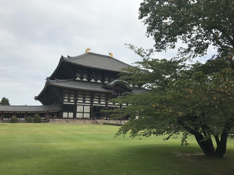 2020年加拿大签证中心办理动态,2020年新西兰临时签证政策