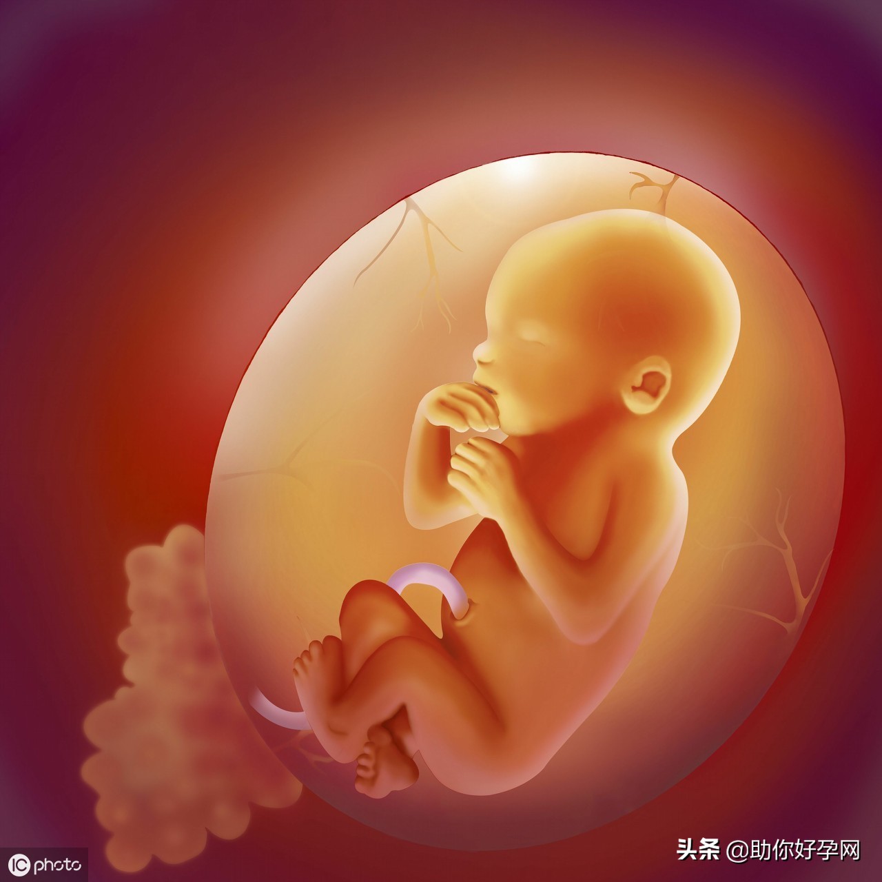 影响试管婴儿胚胎着床的原因,试管婴儿7周后停胎清宫害怕吗