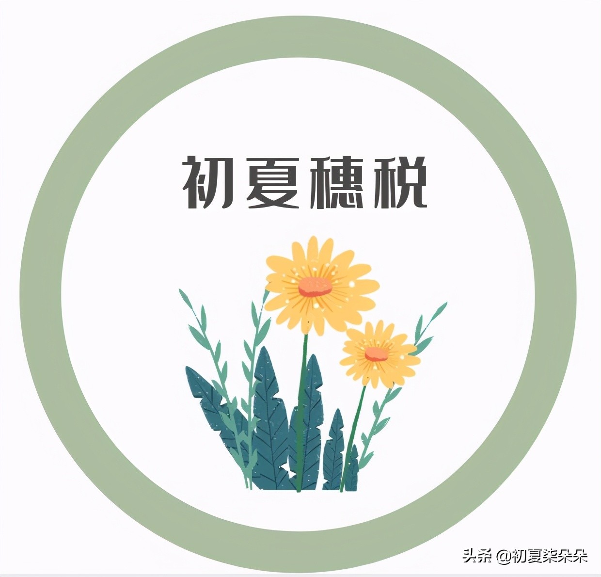 佣金怎么处理合法,佣金怎么解决