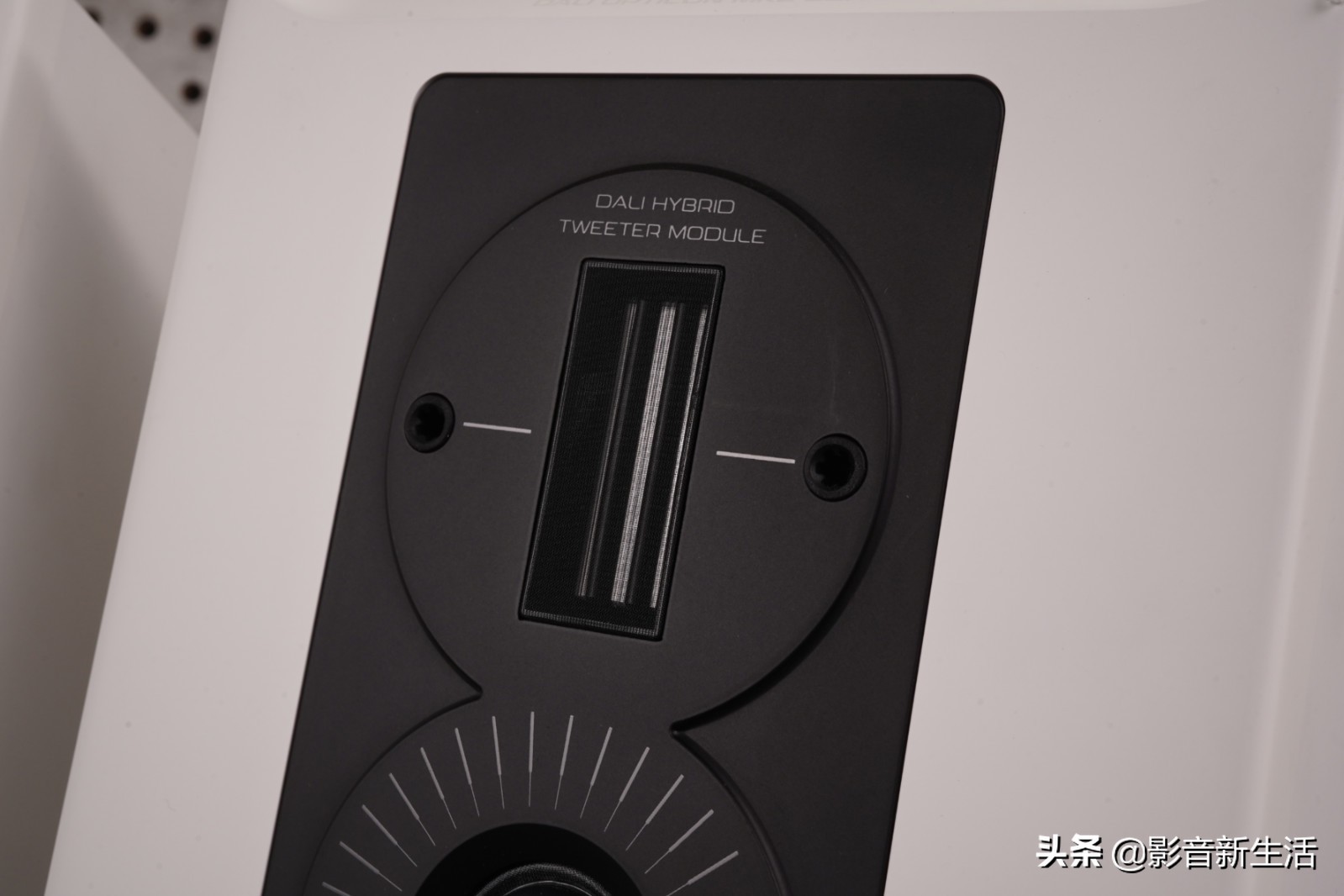 达尼opticon6音箱,达尼opticon2书架音箱