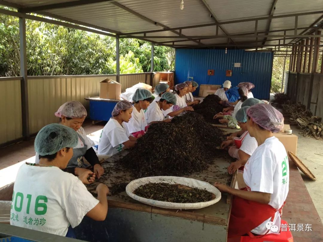 周文军：一个把茶窝子开到3个国家的景东人