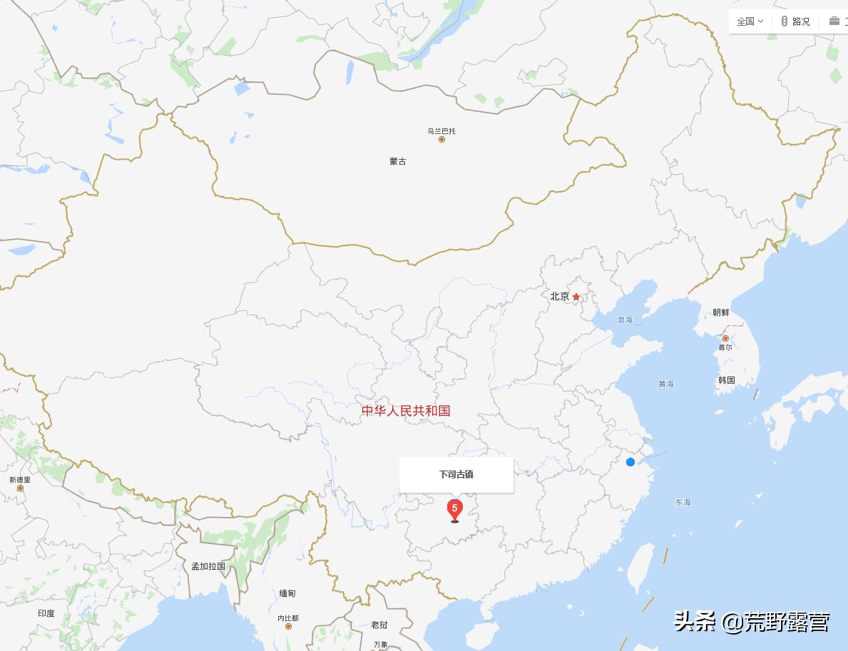 世界上哪几个品种的狗最聪明,最忠诚的狗是什么犬品种