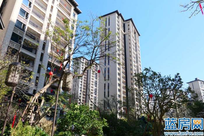 龙岩蓝房最新消息,蓝房探盘