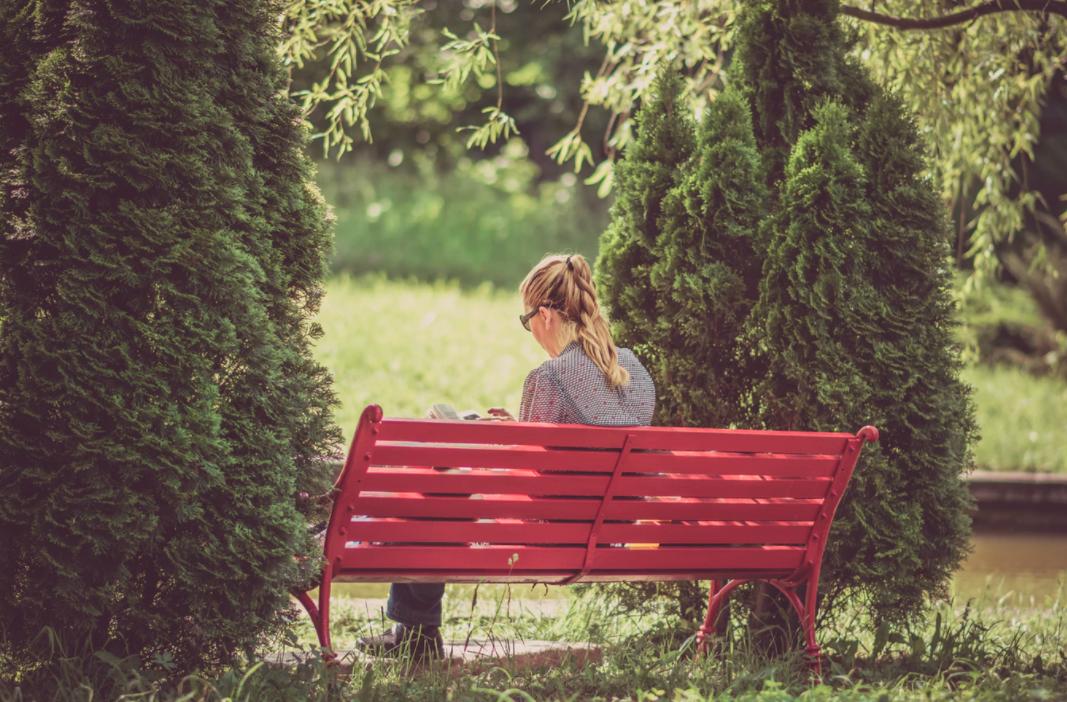 singledog翻译中文,单身狗英文singledog