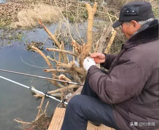 钓鱼中草药配方秘方,钓鱼最佳配方与技巧