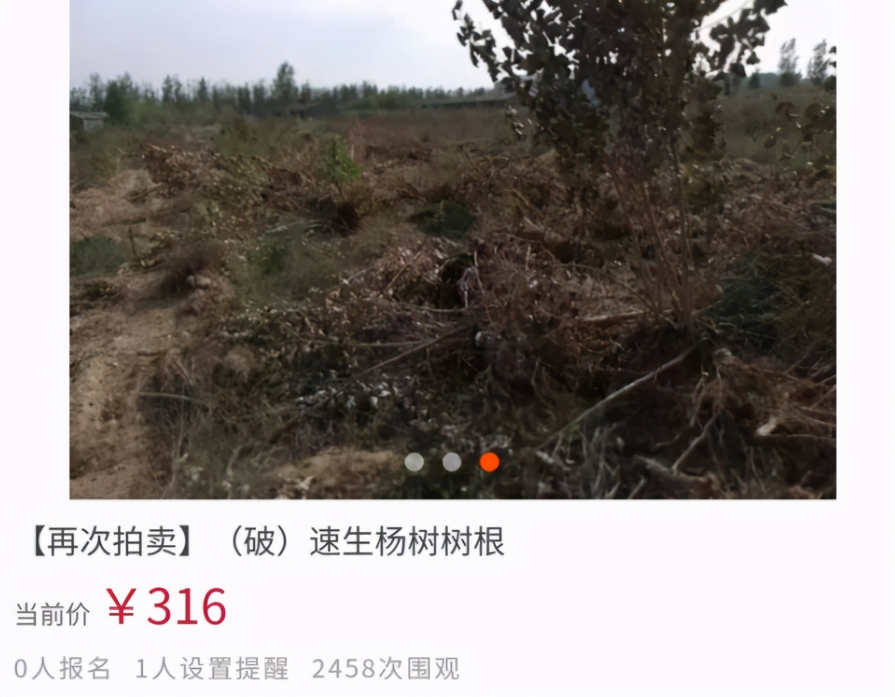 80块的游戏卡,80元游戏卡牌拍出8700万元天价