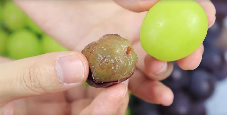 葡萄和提子到底有什么区别?大多数人都还不知道,今天算涨知识了