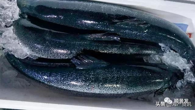 春节必买的海鲜,一年四季海鲜怎么选