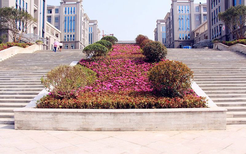 竹溪县郧阳一中,湖北十堰第五中学高中