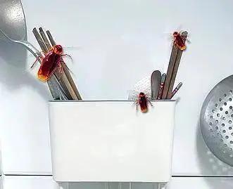 不要乱放筷子,长期潮湿发霉,开水也烫不掉,用它熏一下就好了