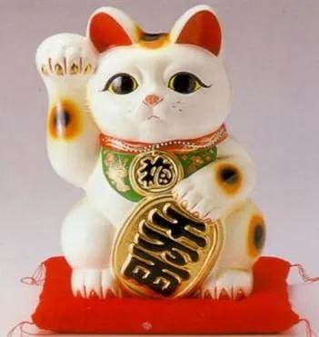 养猫招财到什么程度最好,猫咪是招财猫的象征