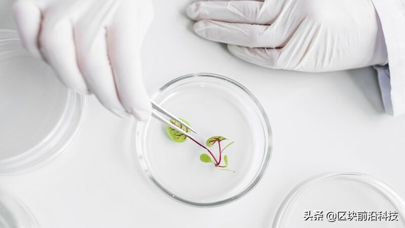 粮食中的“芯片”同样受限,被加价几十倍也不得不购买