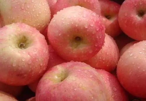 陕西红富士苹果如何挑选,陕西本地红富士苹果怎么样
