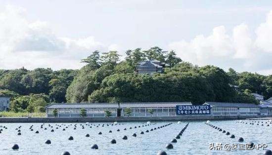 akoya天女珠和花珠哪个更好,天女珠和akoya海水珠的区别