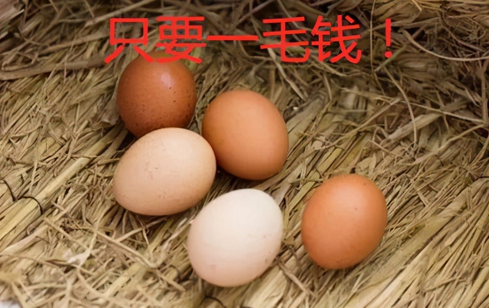 「暗网新黑产」支付宝付款1元,实扣500!揭秘暗雷如何骗你钱