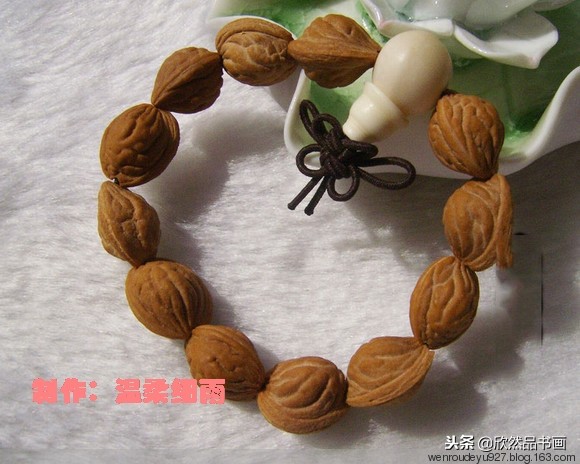 木鱼菩提子的种类全图解,菩提子手串种类图