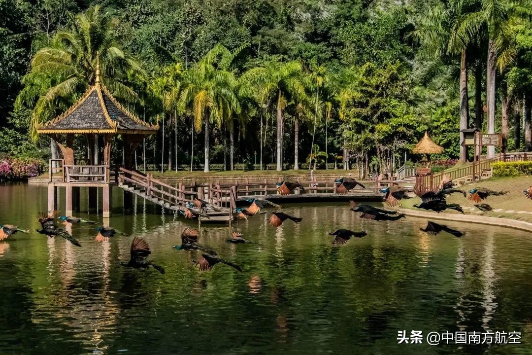 398往返机票,13999机票飞全国