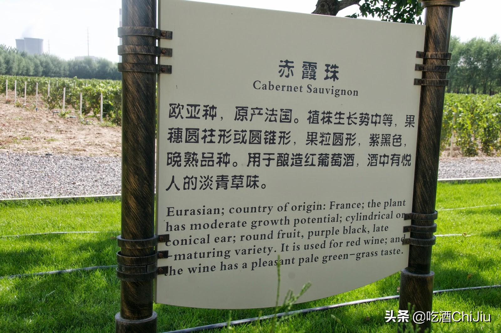 解百纳红酒多少钱一瓶52度,顶级百纳红酒