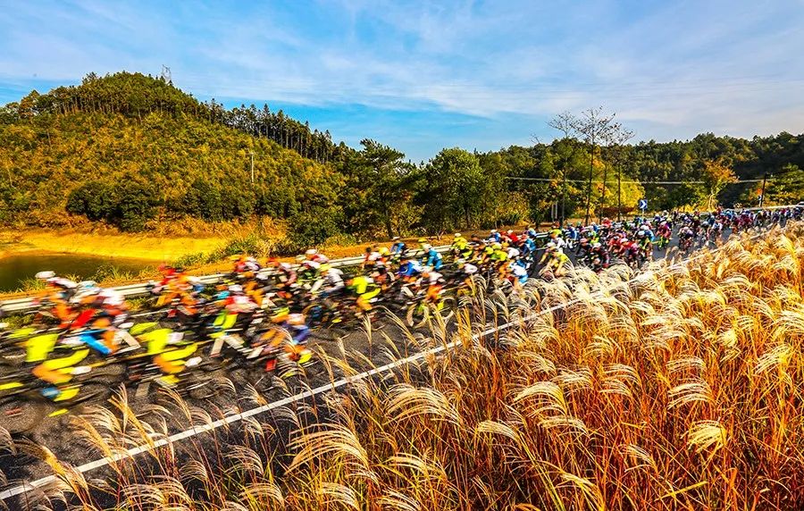 万人马拉松最美跑道激情奔跑,万人马拉松现场有多震撼