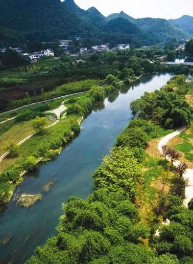 被食人鱼攻击怎么办,如果你被食人鱼攻击怎么办