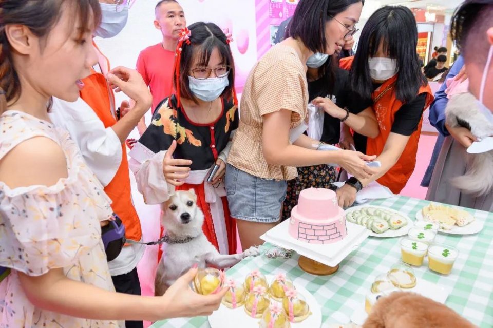 保利MALL 阿派领养日！有只萌宠在call你…