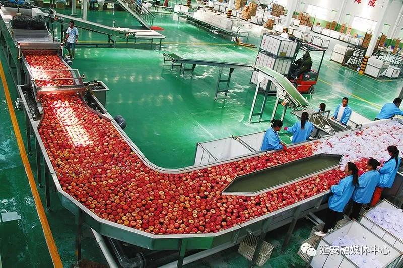 延安向全国人民交出优异答卷,延安改革创新