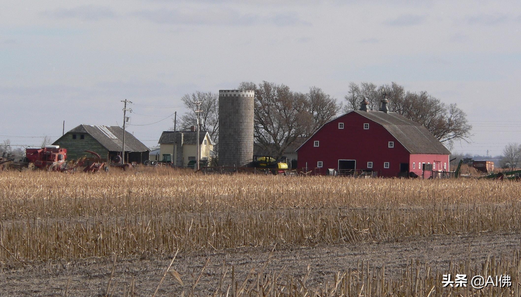 美国农田最多的州,美国哪个州的农场土地肥沃