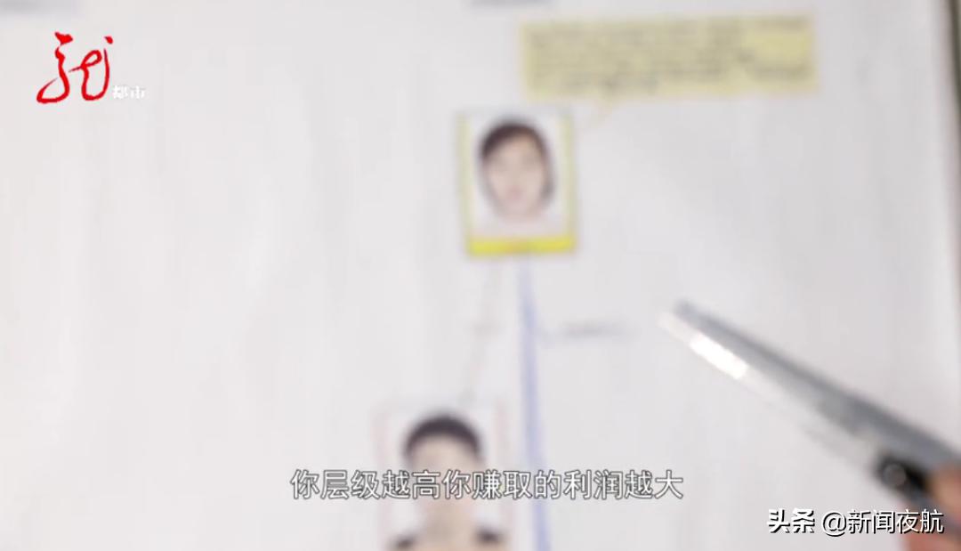 *肥药减**装在狗粮袋里，宣称一个月能瘦20斤！售价260元，批发价才40元！你身边有卖这种药的吗？