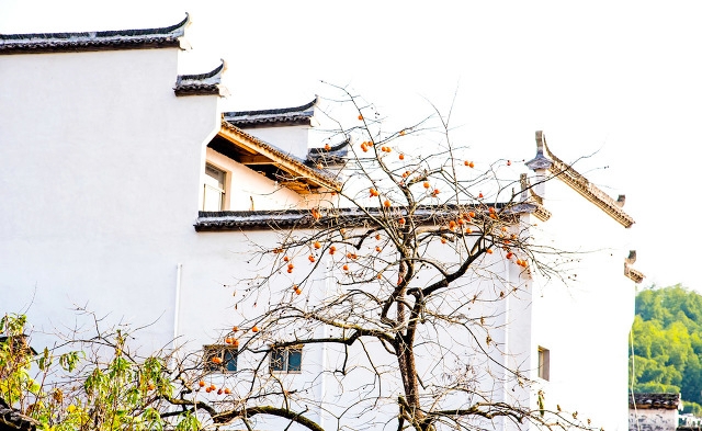 安徽中国最美三大古镇,安徽十大最美古镇