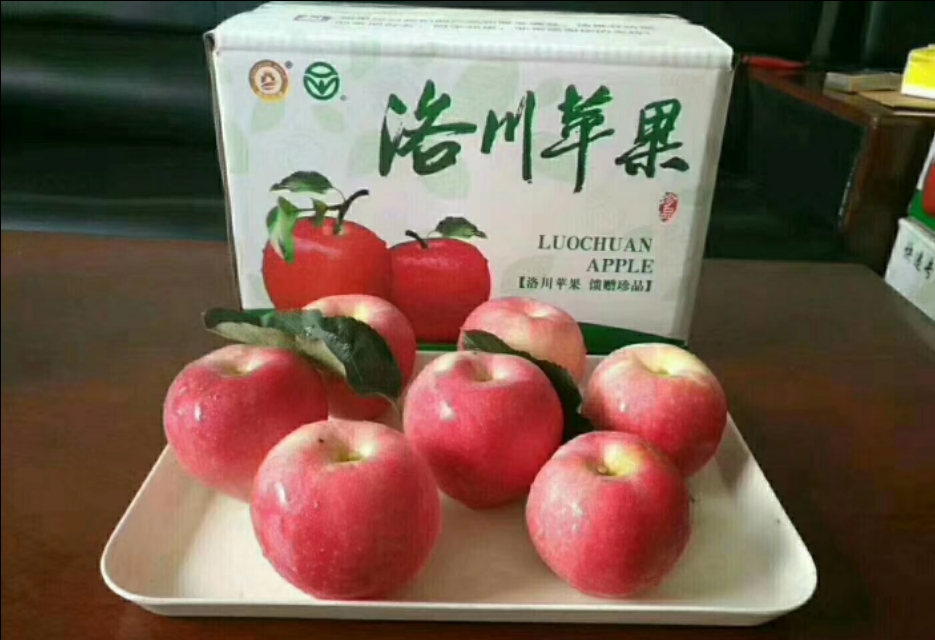 洛川苹果现状如何,洛川苹果农药