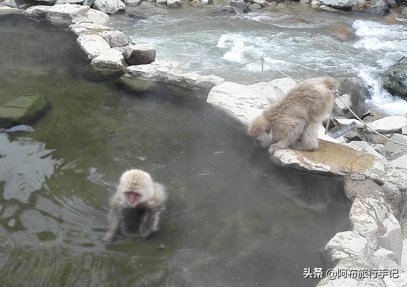 豆瓣9.1分，看过不足1500人，我却复盘了张日本最全野游图