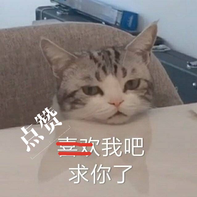 猫癣治疗不干净,猫癣怎么才是痊愈了