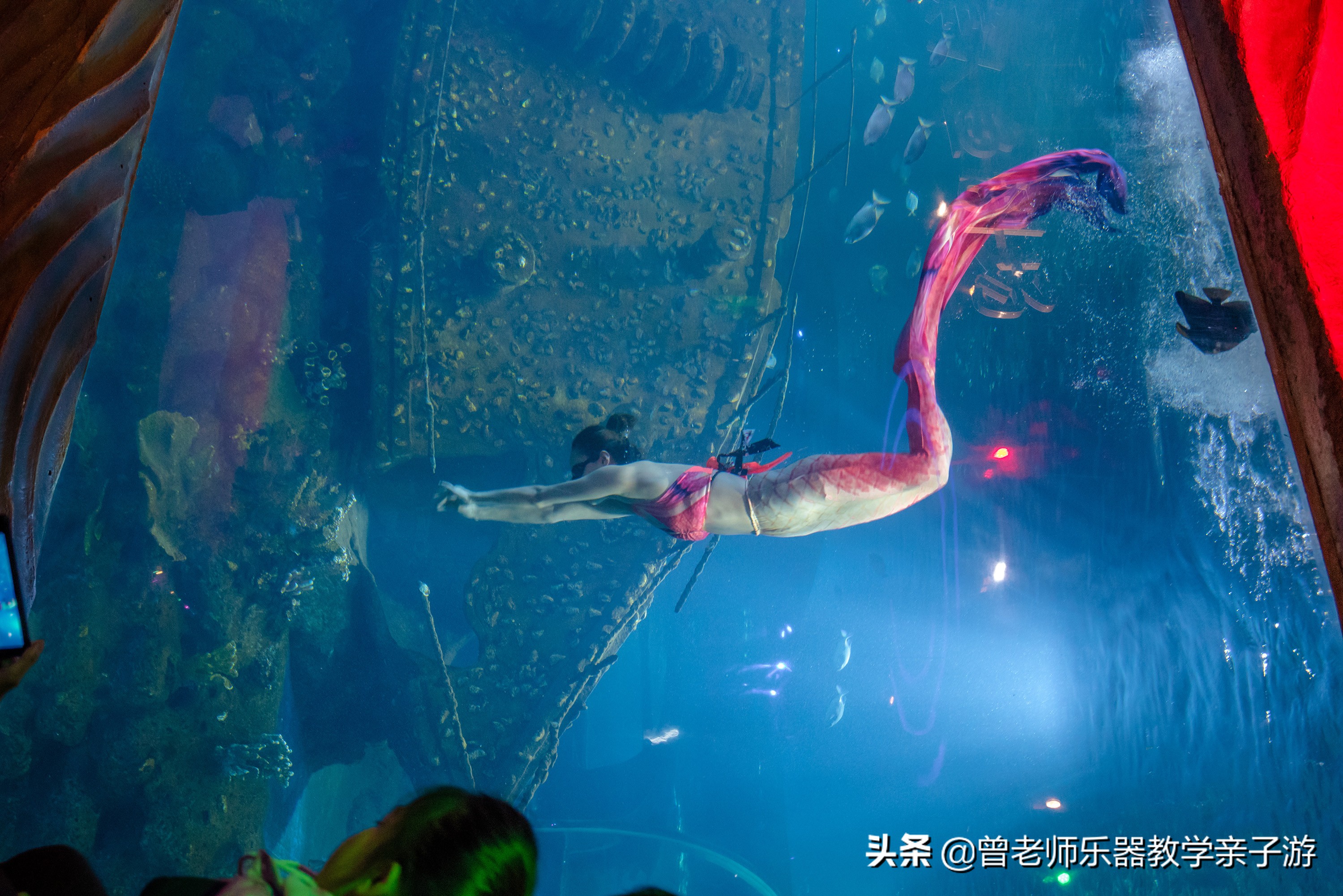 西安太奥海洋馆,西安极地海洋世界海豚表演