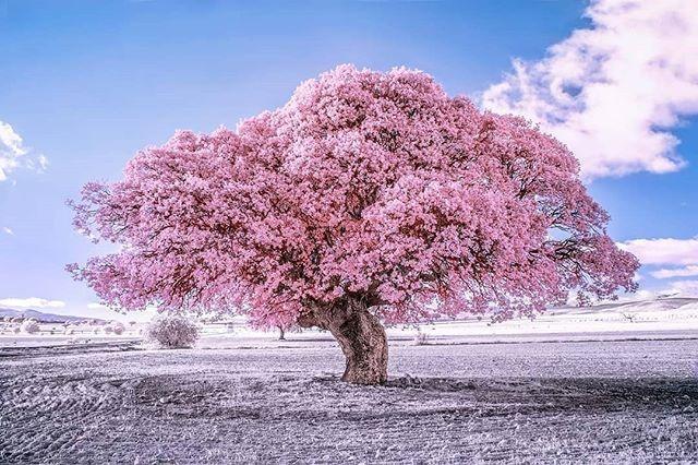 简短有深度的爱情句子语录情感,精辟到极致的爱情句子集锦