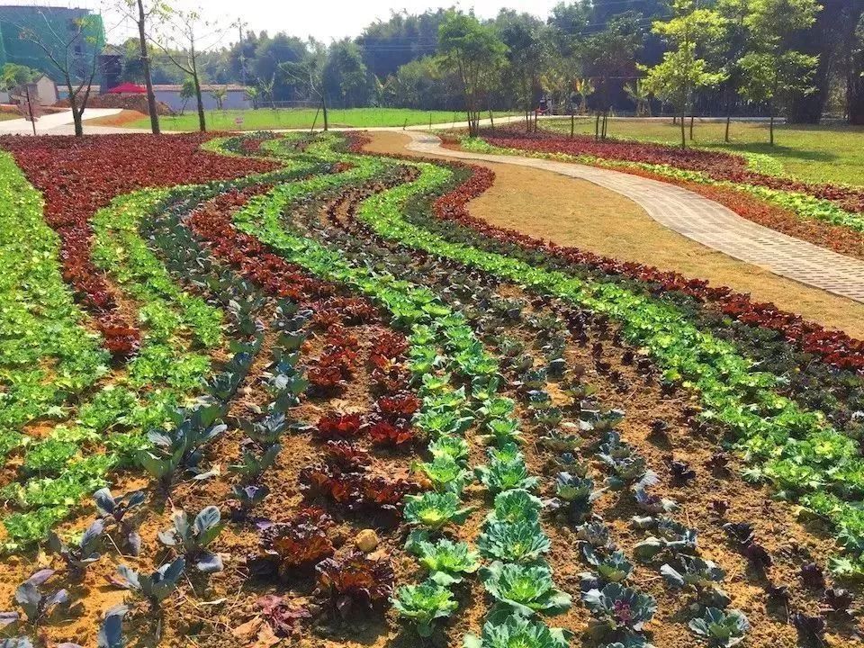 广州隐藏着一个碉楼村,广州有哪些隐藏的景点
