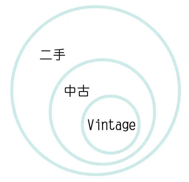 香奈儿最值得入手的中古款,lv中古cabaspaino值得入手吗