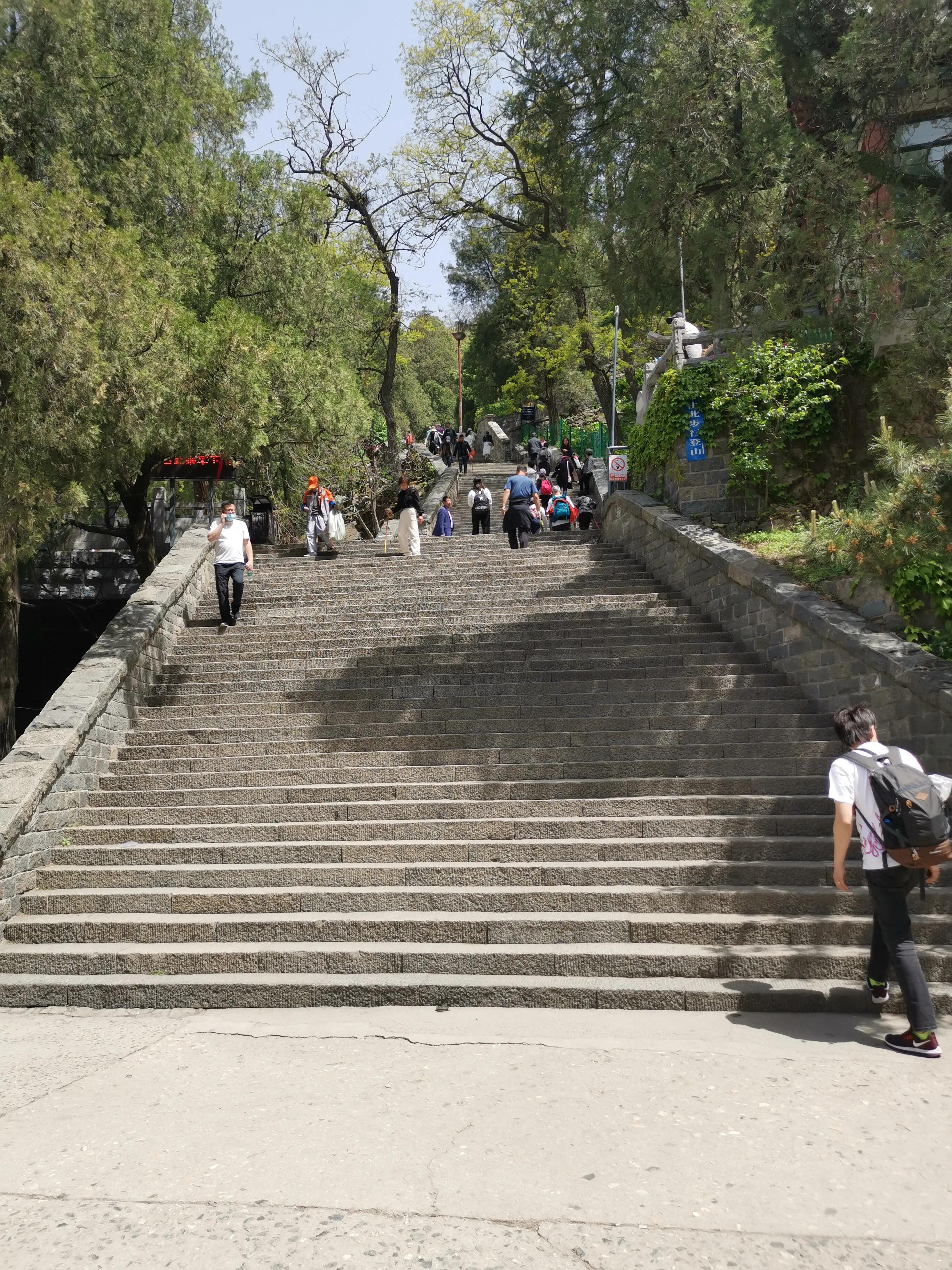 我在泰山望*安泰**（鲁跑之十四）