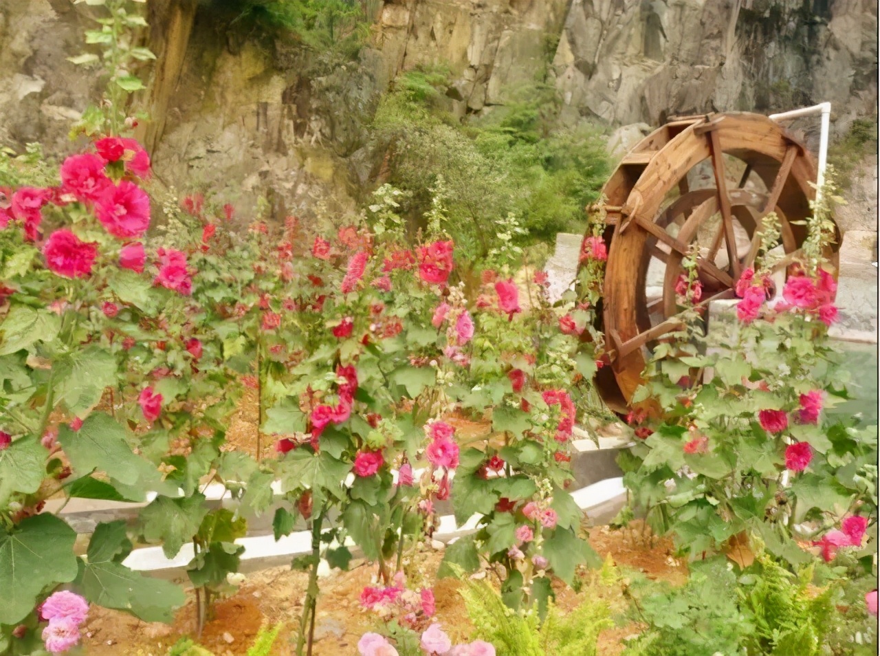 温州吹台山木屋农家乐预订号码,吹台山生态农庄