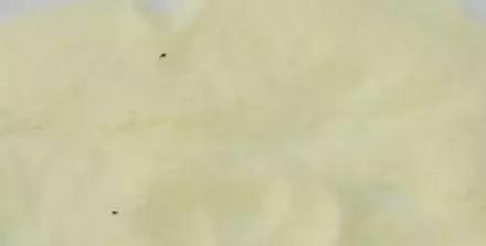 奶粉知识简短,奶粉知识大全讲解直播