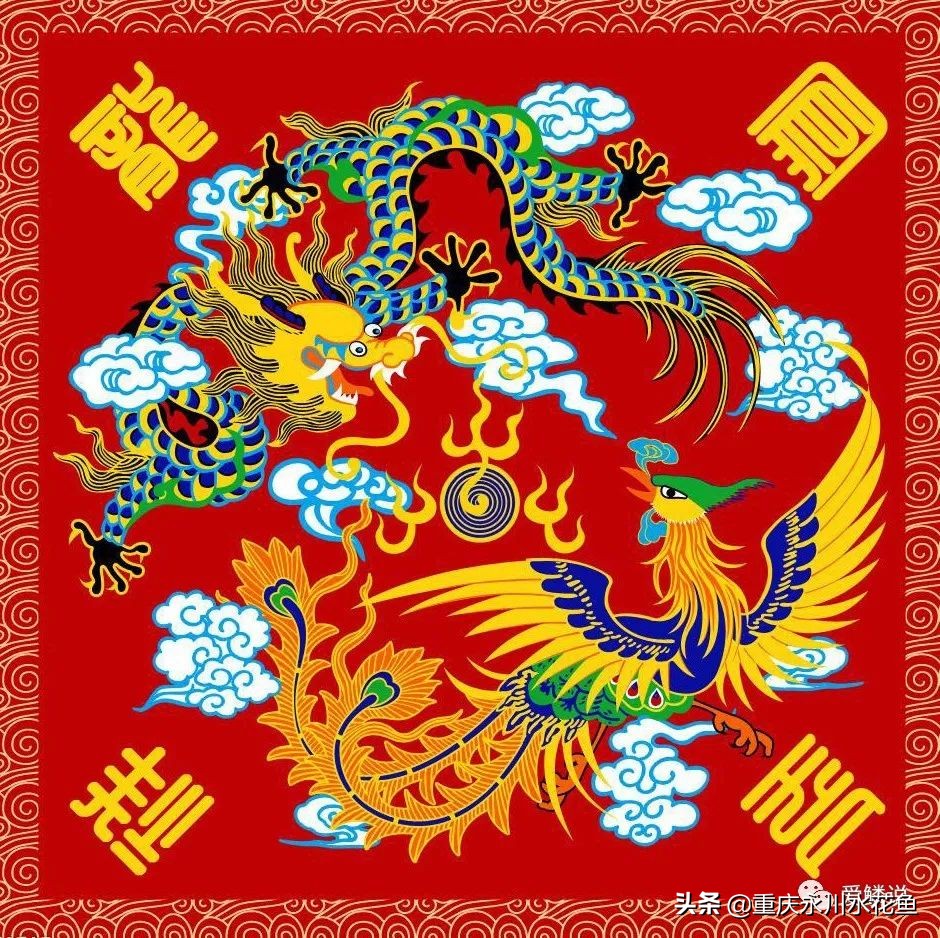 普身蝴蝶鲤和龙凤锦鲤的区别,龙凤锦鲤和蝴蝶锦鲤哪个更贵