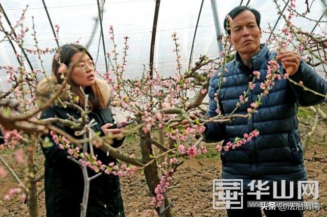 2月2日渭南手机早报