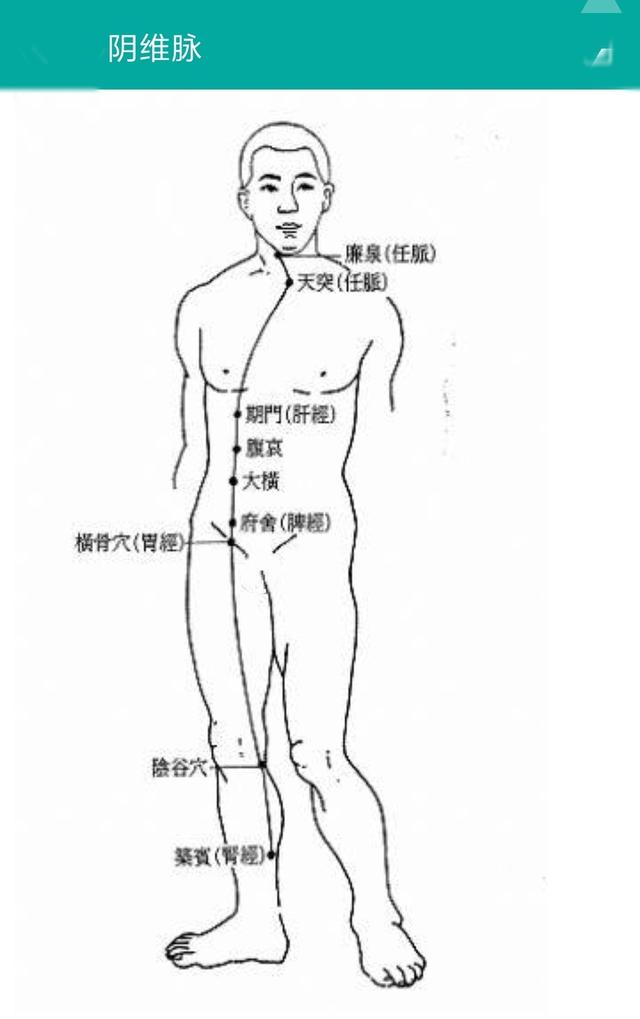 阴阳维脉讲解,阴阳维脉的意思