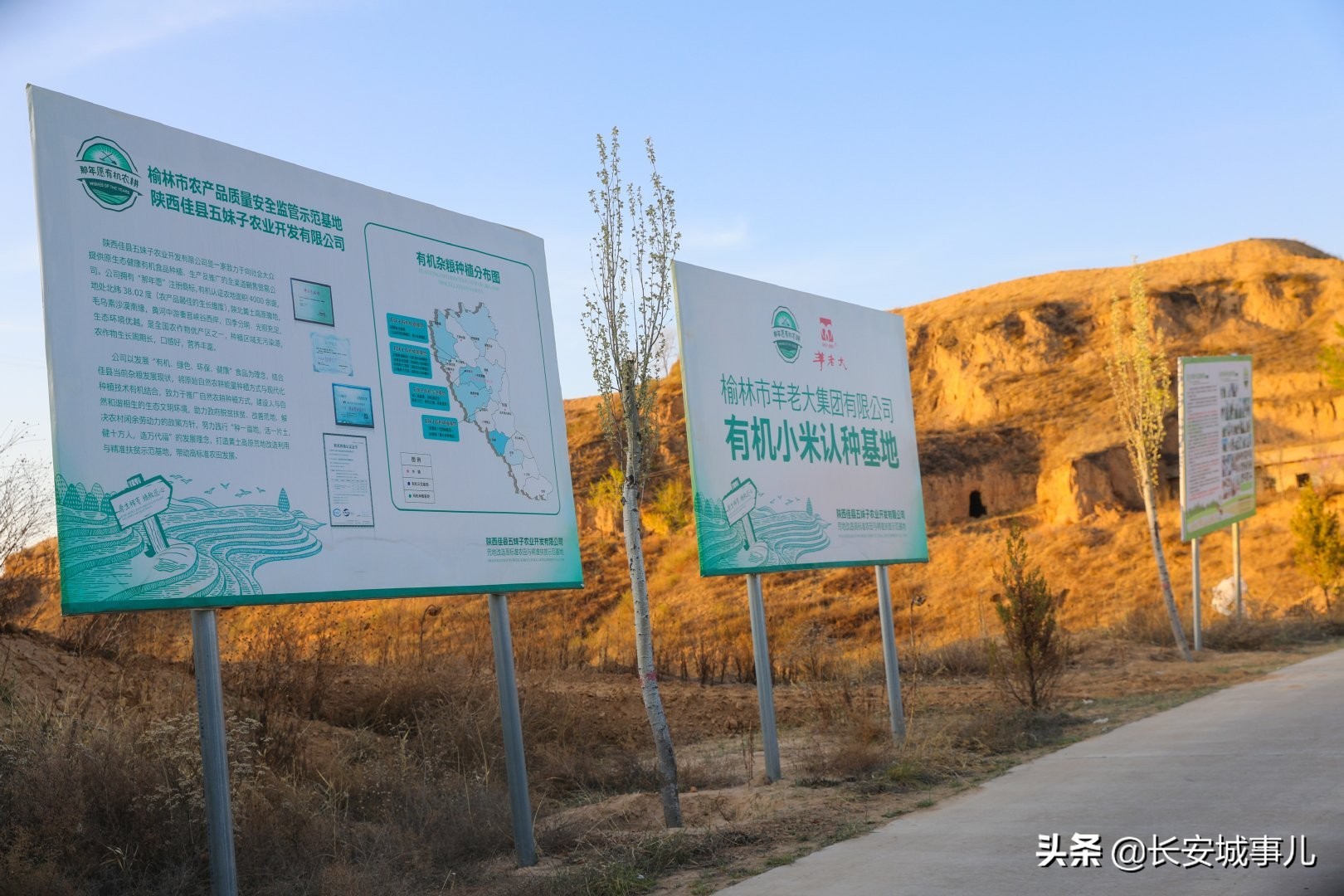 那年愿,那年愿产品介绍