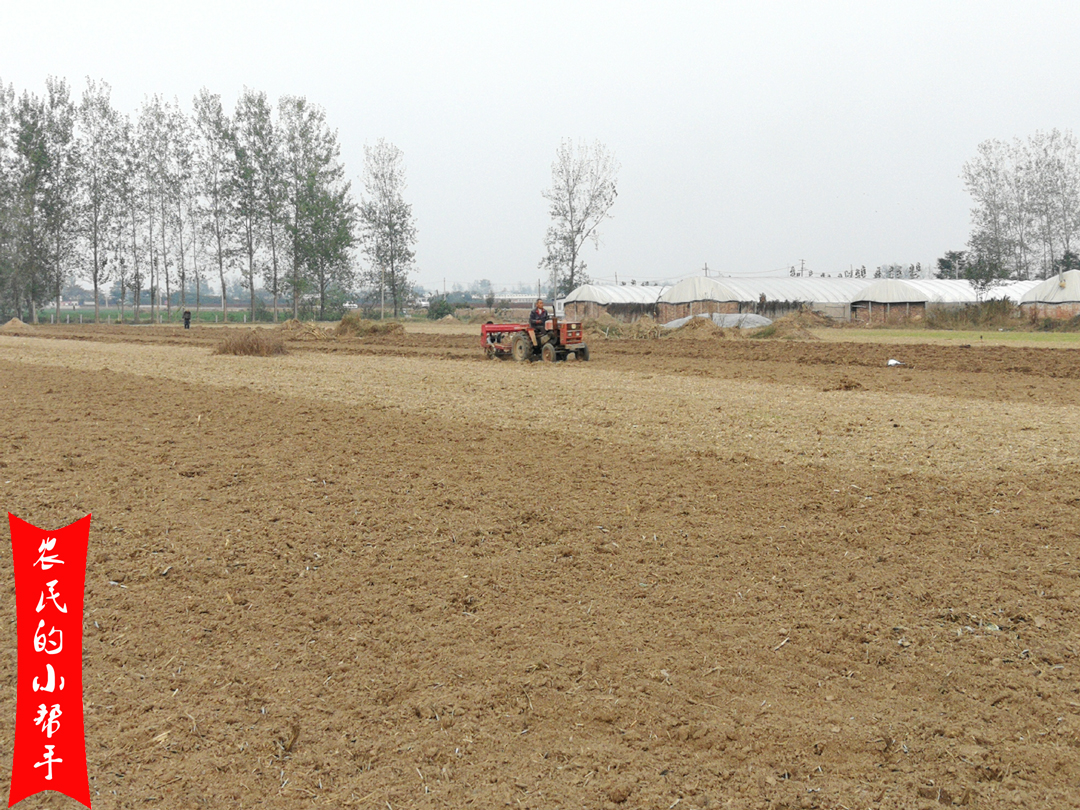 种小麦氯化钾好还是硫酸钾好,种小麦复合肥和掺混肥哪种好