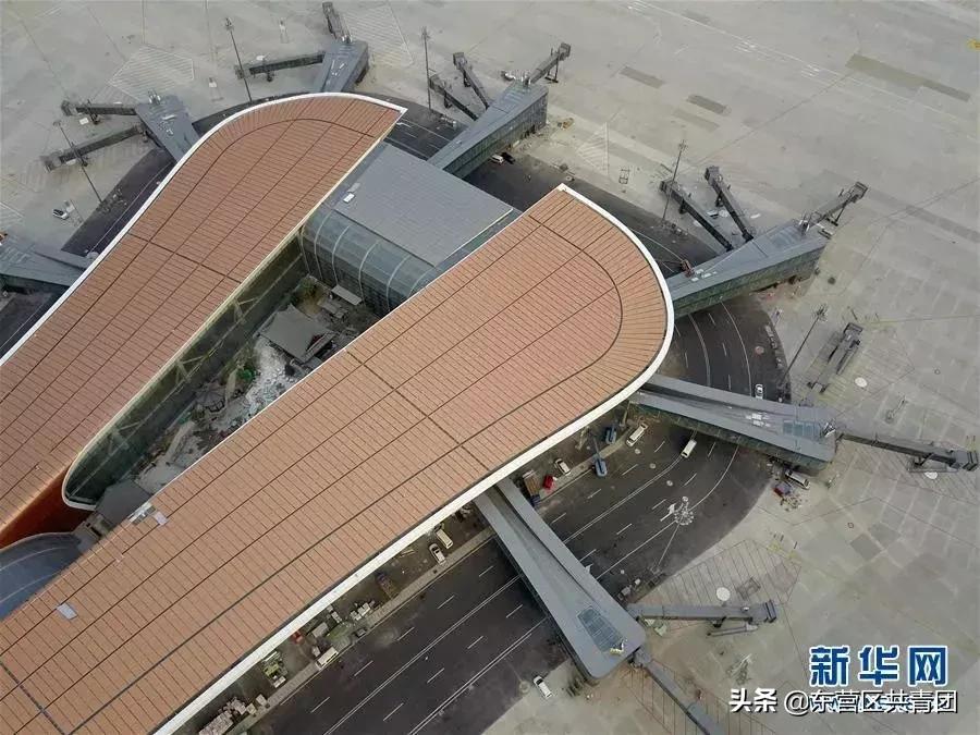 这也太牛了赞,这也太努力了表情包