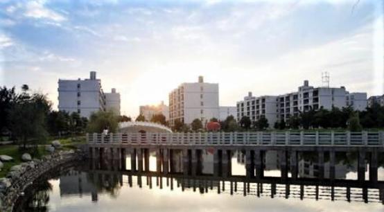 成都就业最好的高校,成都哪些专业就业前景好