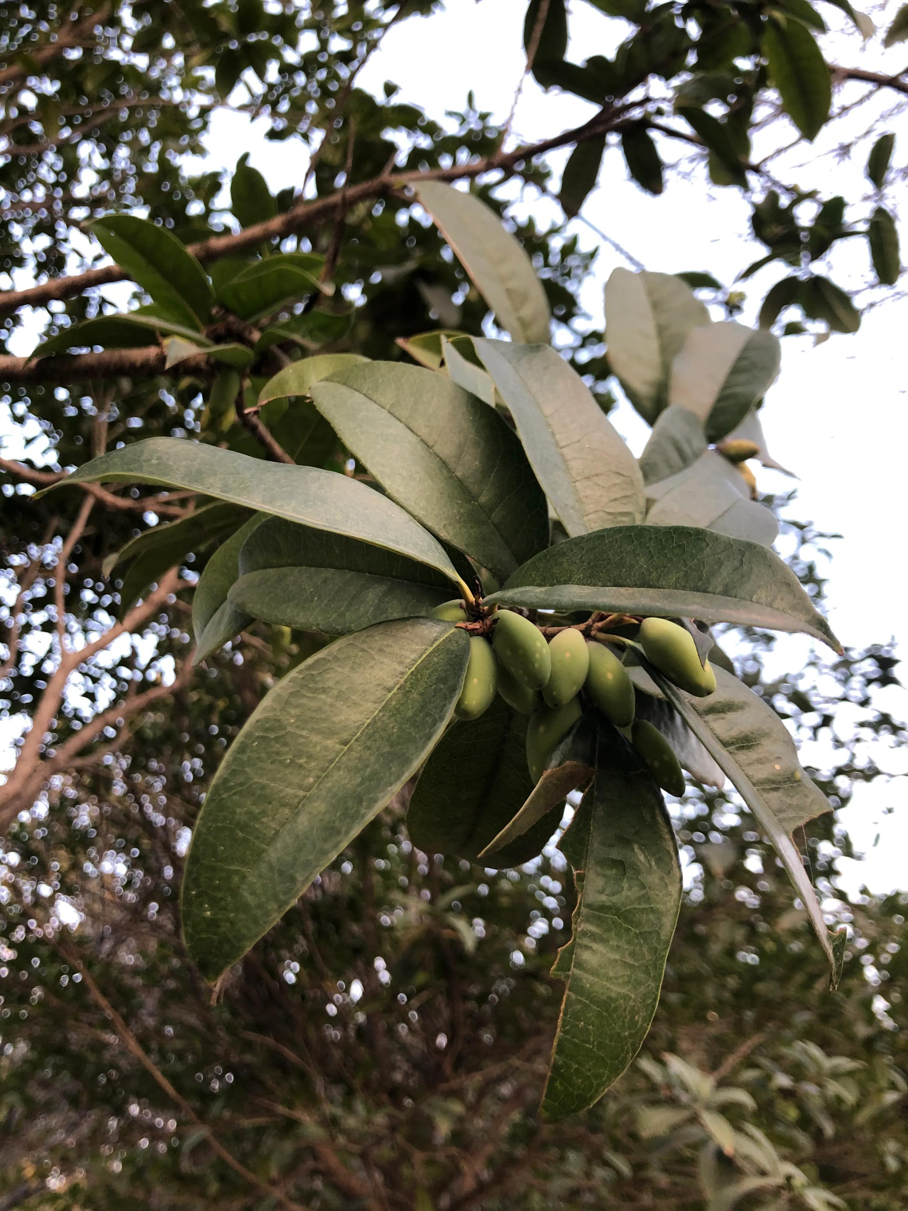 平顶山河滨公园旅游攻略,平顶山森林公园游记