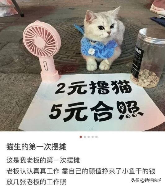 把姥姥七百多关的消消乐弄没了怎么办？网友这回复真是鬼才